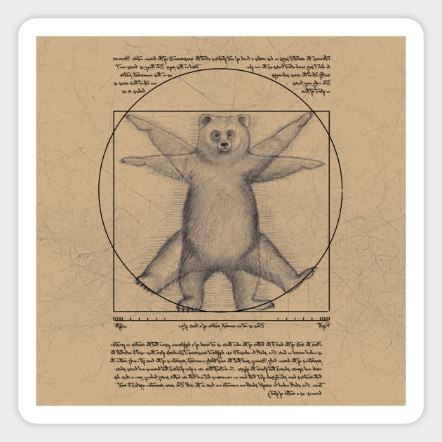 The Vitruvian bear Magnet by Zolinstudio